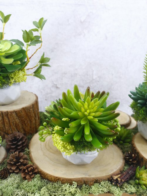 榆果傢飾 HUGO DECO 手指蓮多肉香氛植栽/擬真植物/人造盆栽/綠化/佈置/禮物