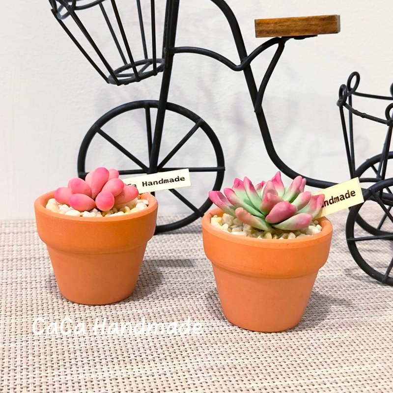 [Experience] Hualien Handmade Experience Plaster Kneading Cute Succulent Mini Potted Plant DIY-Small Class System - จัดดอกไม้/ต้นไม้ - วัสดุอื่นๆ 