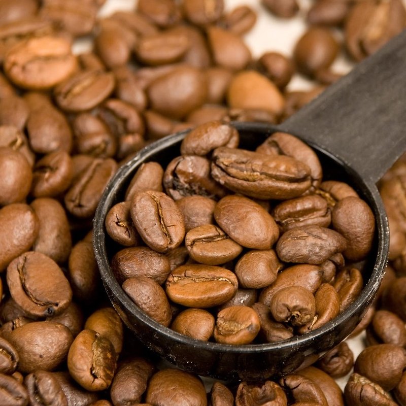 【伏在甲備]ロハスLOHASシリーズ厳選コーヒー豆（1ポンド/インバウンド）の中に5 xは - コーヒー - 食材 