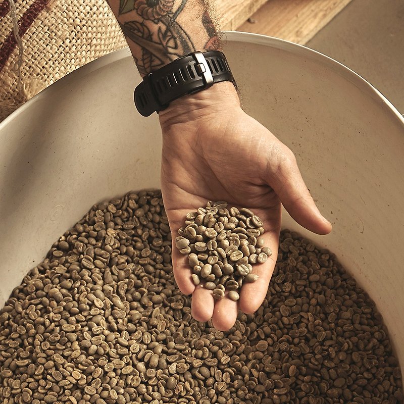 CoFeel Kaifei AI Smart Bean Picking│Conqueror│Washing│Single Product│Green Coffee Beans - กาแฟ - วัสดุอื่นๆ สีกากี