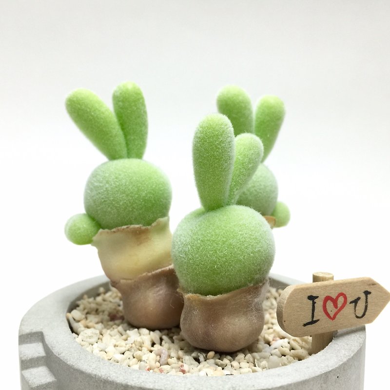 Bionic Clay Succulent Green Halo - Items for Display - Clay 