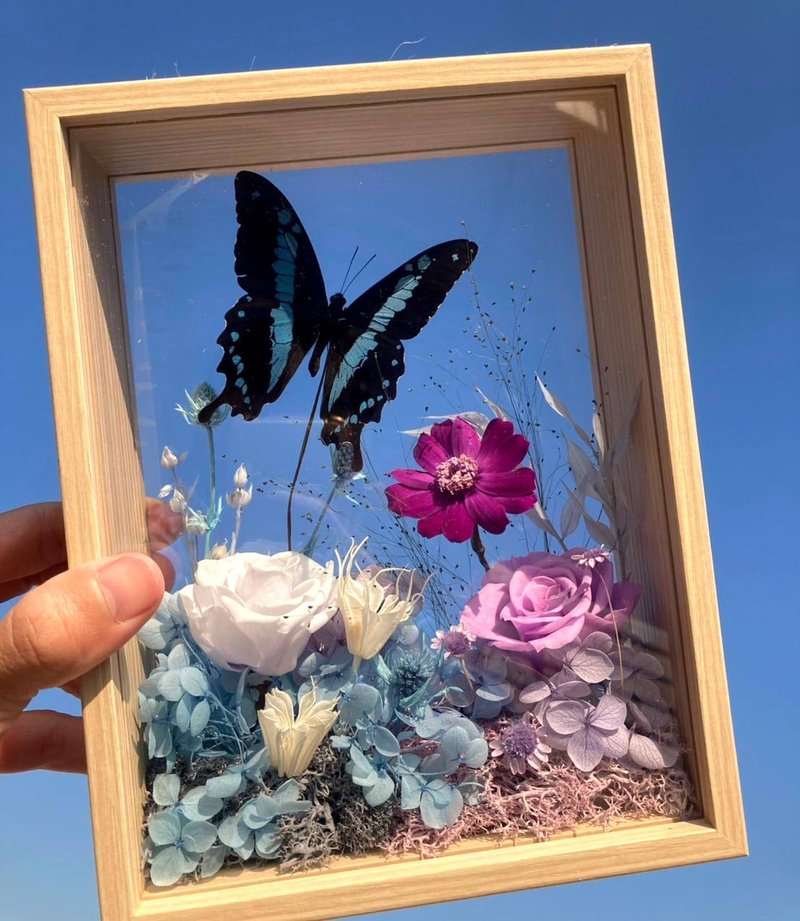 Capture the sky. Valentine's Day anniversary gift/immortal butterfly specimen/immortal rose/housewarming opening ceremony - ช่อดอกไม้แห้ง - พืช/ดอกไม้ สีน้ำเงิน