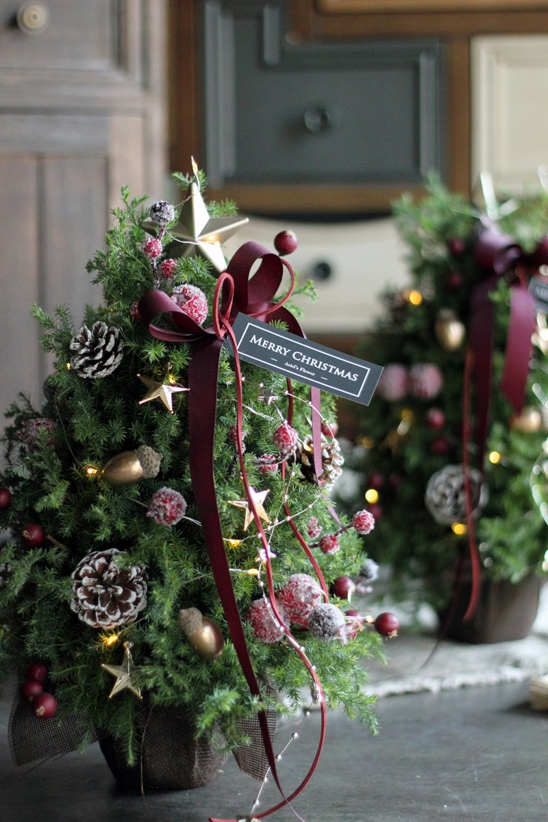 Mini 紅色小霜果【新鮮聖誕樹 】諾貝松與雪松聖誕樹 - 植物/盆栽/盆景 - 植物．花 多色