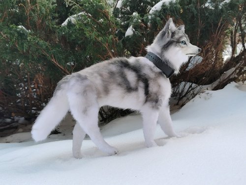 入園入学祝い ハンドメイド ハスキー アートドール ぬいぐるみ 子犬