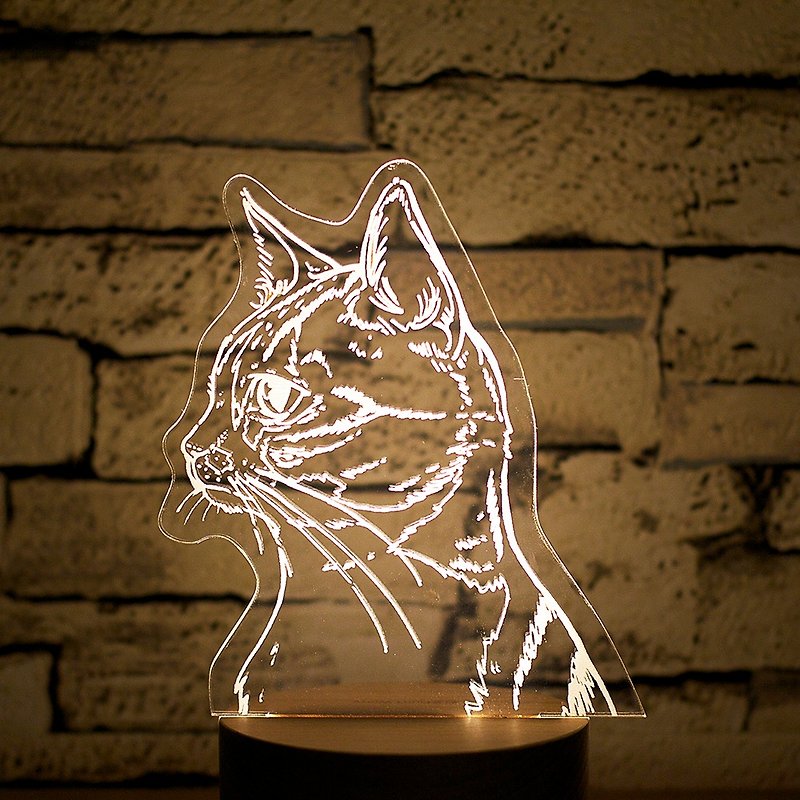有製夜燈-寵物版 客製化 情人節禮物 生日禮物 - 燈具/燈飾 - 壓克力 金色