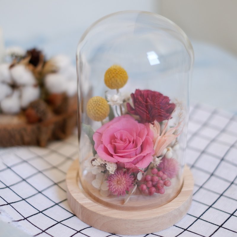 Not to be renewed | No withered flowers dry glass cover wedding small gifts gift home decoration office small objects white Valentine's Day spot - ของวางตกแต่ง - พืช/ดอกไม้ 
