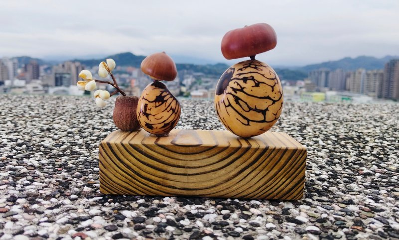 謝謝您自然素材果實種子藝術創作 - 擺飾/家飾品 - 其他材質 