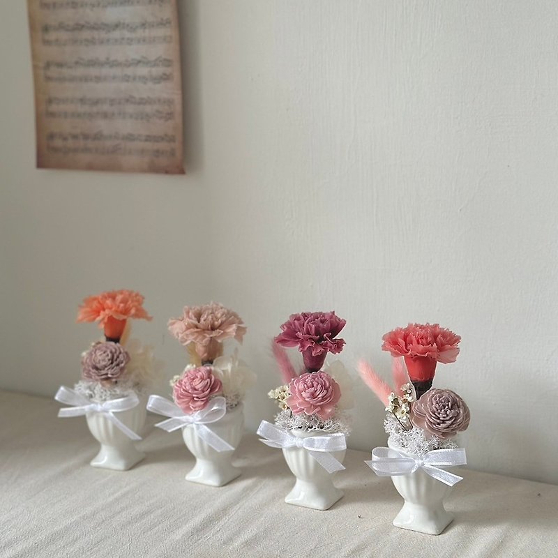 Everlasting Carnation Diffuse Small Cup/ Everlasting Flower Dried Flower Carnation Gift for Mother’s Day - ช่อดอกไม้แห้ง - พืช/ดอกไม้ 