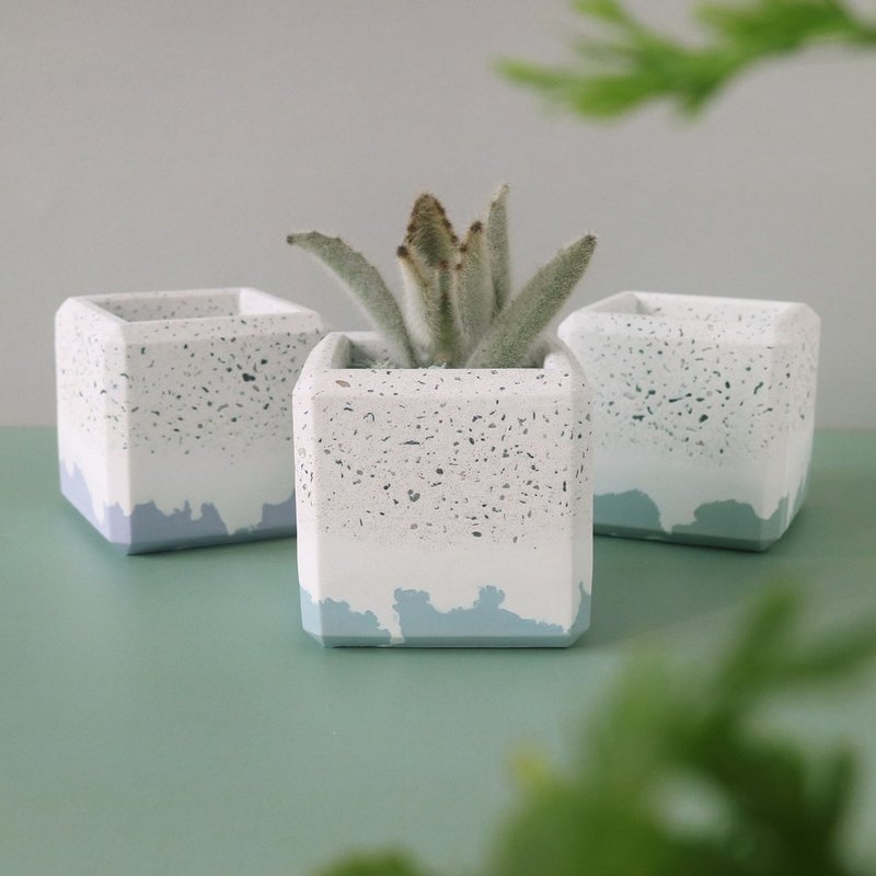 磨石子撞色【厚邊四角水泥盆】 - 盆栽/植栽 - 水泥 