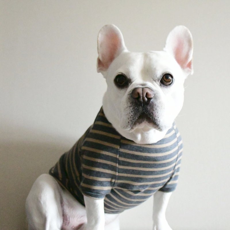 Basque Border Shirt _ Dark Gray × Mocha Beige _ For French bulldog - Clothing & Accessories - Cotton & Hemp 