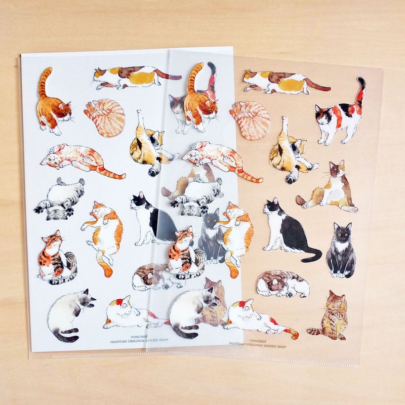 Clear File 16 Cats - แฟ้ม - พลาสติก สีนำ้ตาล