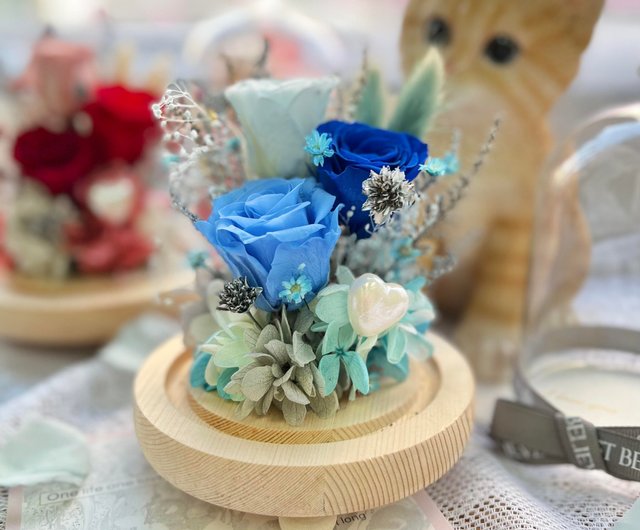 美品】The iTTO SS 胡蝶蘭 プリザーブドフラワー インテリア ギフト