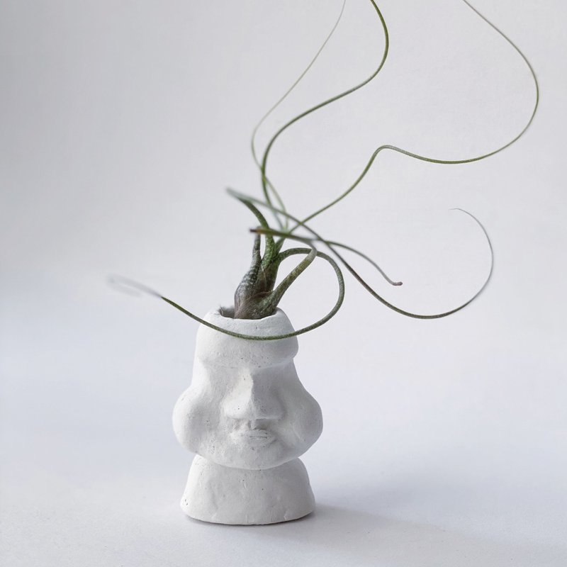 限量 | 虎斑章魚 空氣鳳梨 不含水泥盆器 需另外加購 - 盆栽/植栽 - 水泥 灰色