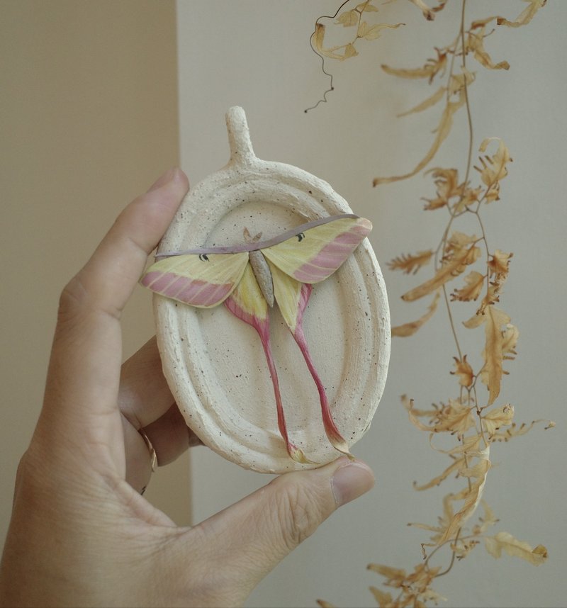 陶板長尾水青蛾作品 僅此一件售完不補 - 擺飾/家飾品 - 真皮 
