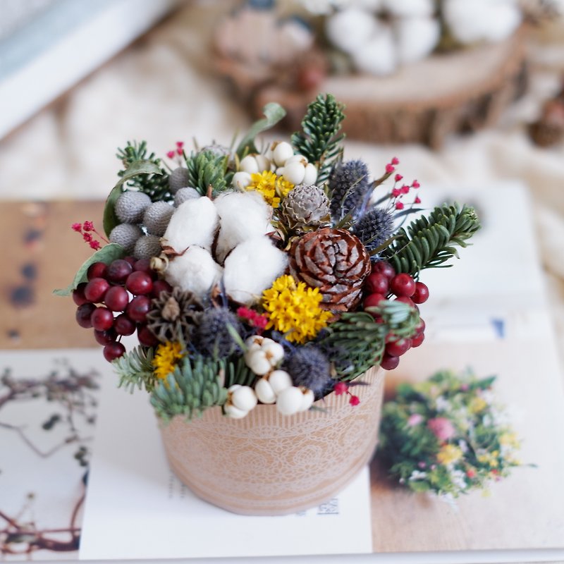 To be continued | Handmade Floral Course - Christmas Celebration Potted Flower DIY Christmas Decoration - อื่นๆ - พืช/ดอกไม้ 