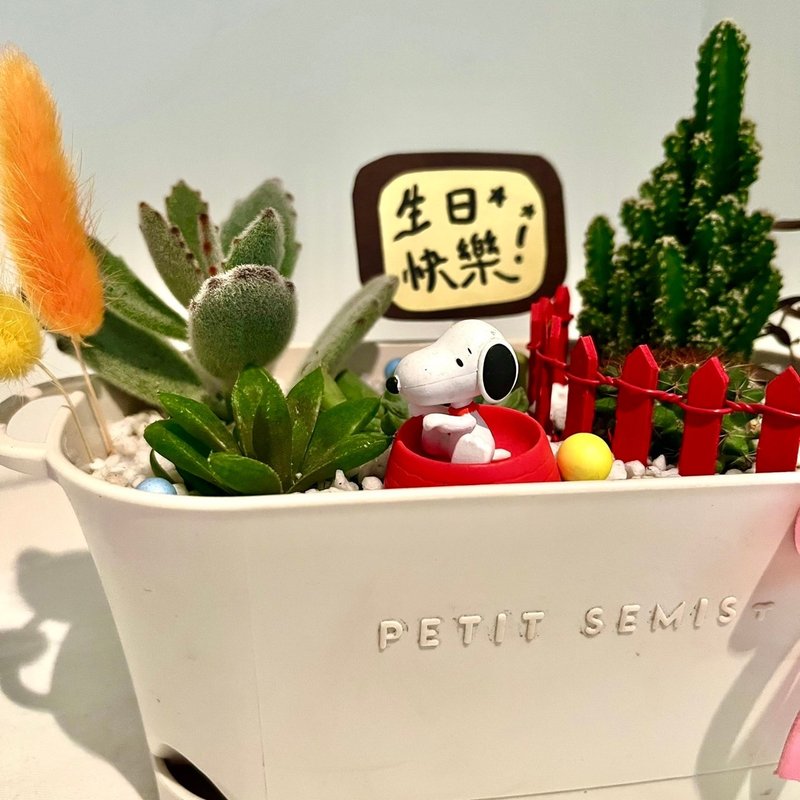 Snoopy succulent potted succulent group pot micro landscape potted succulent cactus customized - ตกแต่งต้นไม้ - พืช/ดอกไม้ สีเขียว