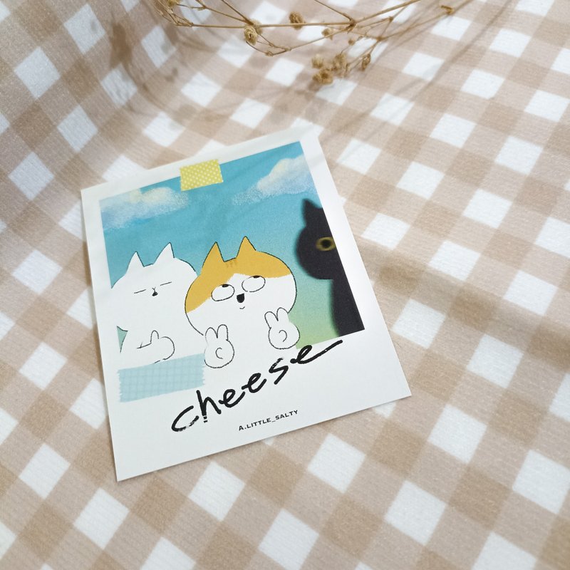 拍立得小卡-Say cheese - 心意卡/卡片 - 紙 白色