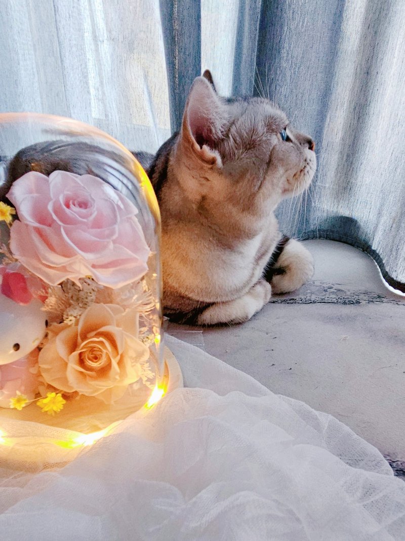 【 日本永生花】Kitty玻璃罩夜燈 可客製加入公仔 不凋花 送禮 - 乾燥花/永生花 - 植物．花 