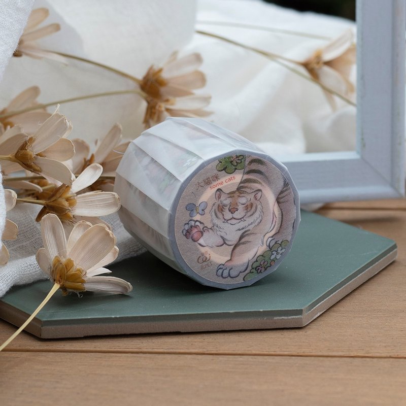 Some Cats - Limited Edition - 5cm Clear ( Glossy ) PET Masking Tape - มาสกิ้งเทป - พลาสติก 