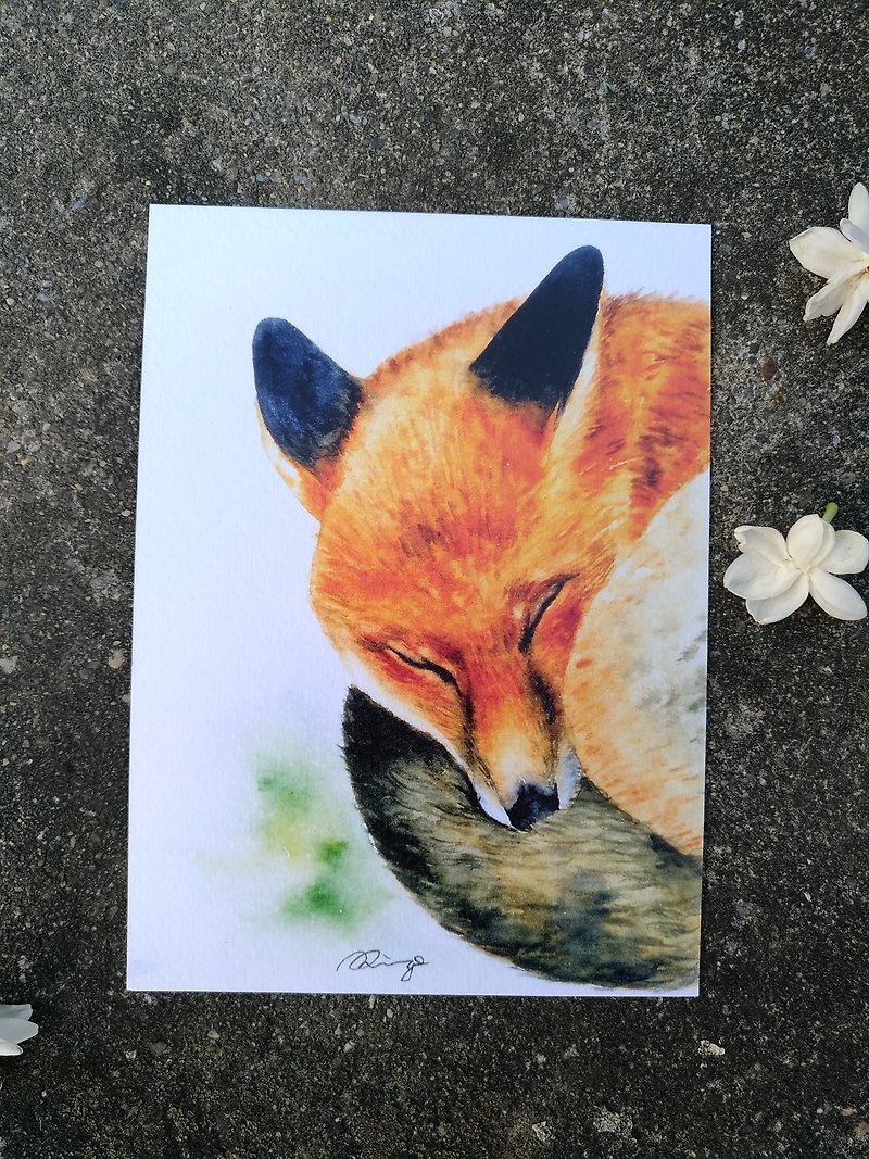 Sleeping Fox watercolor illustration animal portrait Postcard Card (Print) - การ์ด/โปสการ์ด - กระดาษ หลากหลายสี