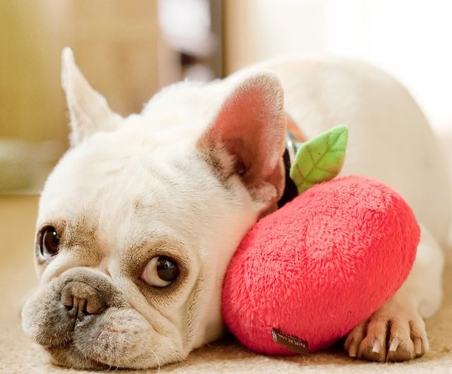 ペットのおもちゃの犬健康的な野菜とフルーツバスケット癒しのレシピとレッドリンゴのチャープ ショップ Petplay おもちゃ Pinkoi