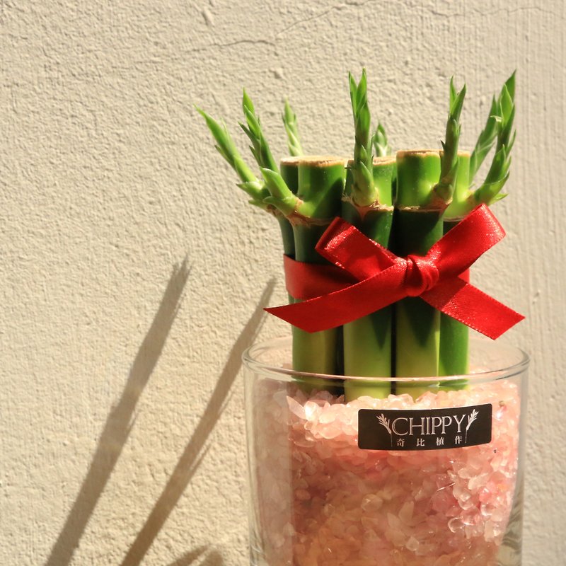 【Lucky Series】Lucky Bamboo on the Table - Good Love Pink Crystal - ตกแต่งต้นไม้ - พืช/ดอกไม้ 