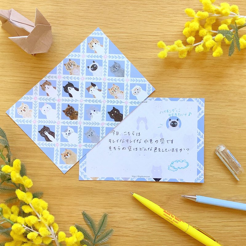 ポストカード　猫のお顔 - 卡片/明信片 - 紙 