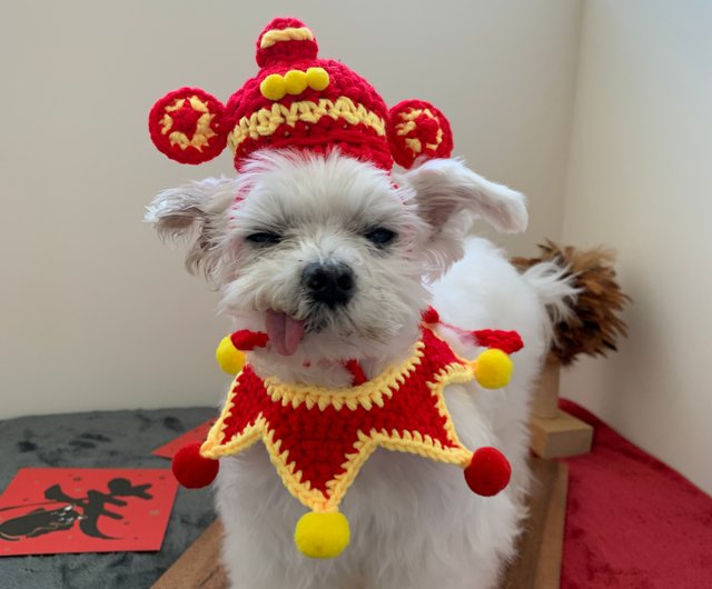 お正月 お正月 富の神がここにいます 帽子 ウィンドスカーフ ペットの首輪 猫と犬 猫と犬を金持ちに ショップ Leeloromantic3031 洋服 帽子 Pinkoi