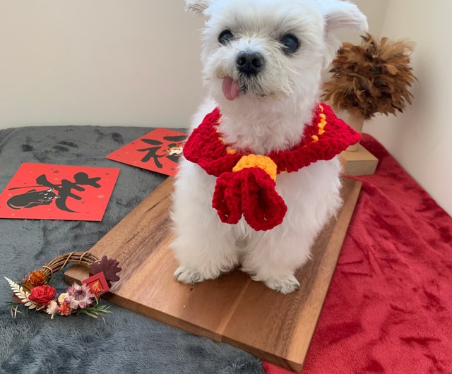 お正月 お正月 富の神がここにいます 帽子 ウィンドスカーフ ペットの首輪 猫と犬 猫と犬を金持ちに ショップ Leeloromantic3031 洋服 帽子 Pinkoi