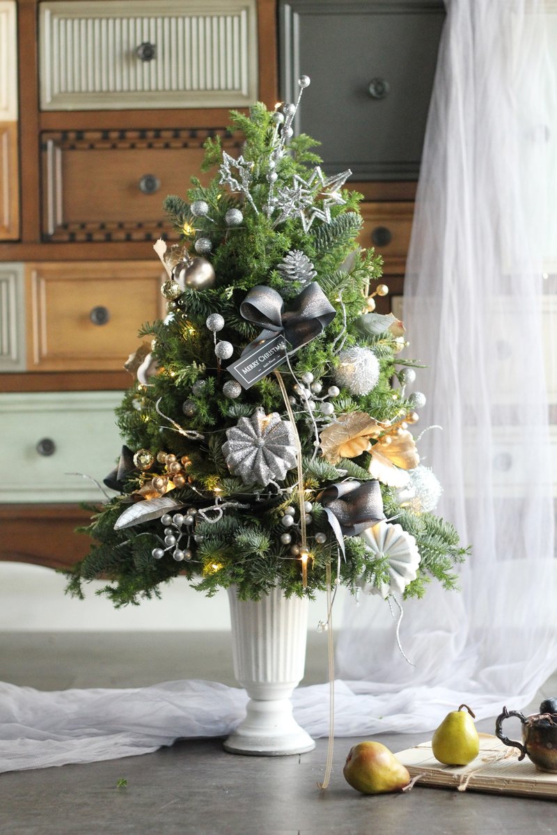 白色古典花器款 【新鮮聖誕樹 】諾貝松與雪松聖誕樹 - 盆栽/植栽 - 植物．花 多色