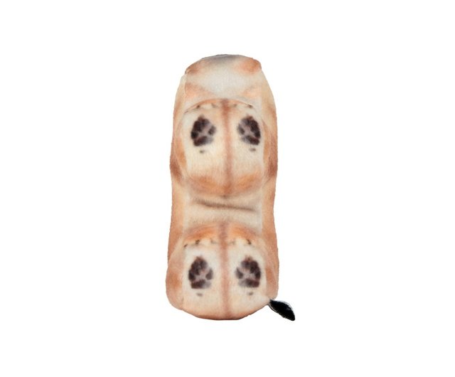 【SOFT THUMBNAIL】 Guma, Shiba Inu 500x0.jpg