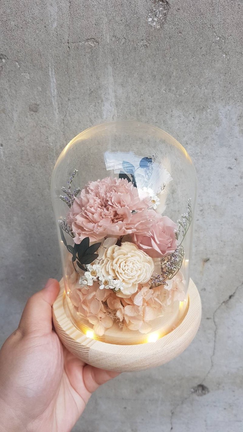 海藏設計| 溫柔奶茶粉永生康乃馨。玻璃燈罩 夜燈 - 燈具/燈飾 - 植物．花 粉紅色