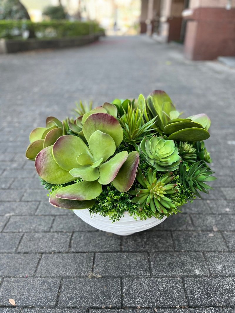 特級擬真唐印多肉植栽組合 免運專人配送限雙北市 其餘地區需補運 - 盆栽/植栽 - 其他材質 綠色