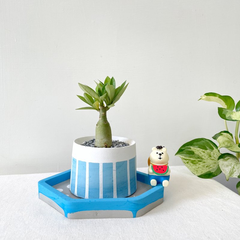 Desert Rose•Ocean line Cement potted plant can be customized with English letters - Plants - Cement Blue