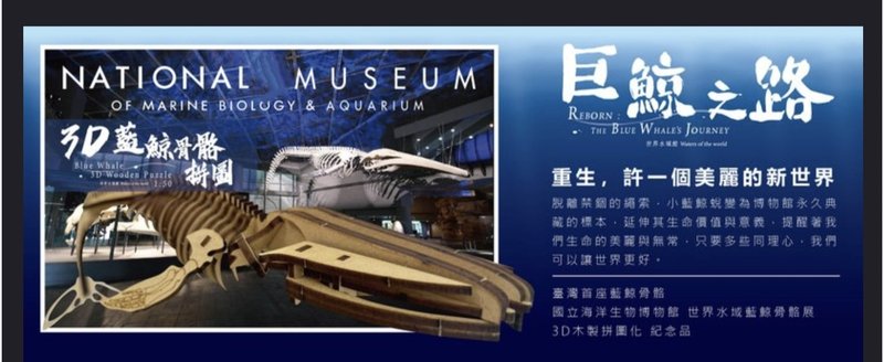 3D藍鯨骨骼拼圖 - 拼圖 - 其他材質 