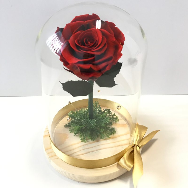 不凋花玫瑰 大型玻璃罩花禮  紅黑色 - 乾燥花/永生花 - 植物．花 紅色