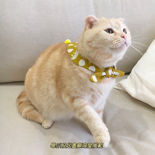 CHA'S恰氏手作 【恰氏手作】露營趣寵物貓狗三角領巾 免綁帶可扣