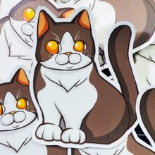 ミーム - 奇妙な知識を追加した猫 ミーム猫 - マットで厚い
