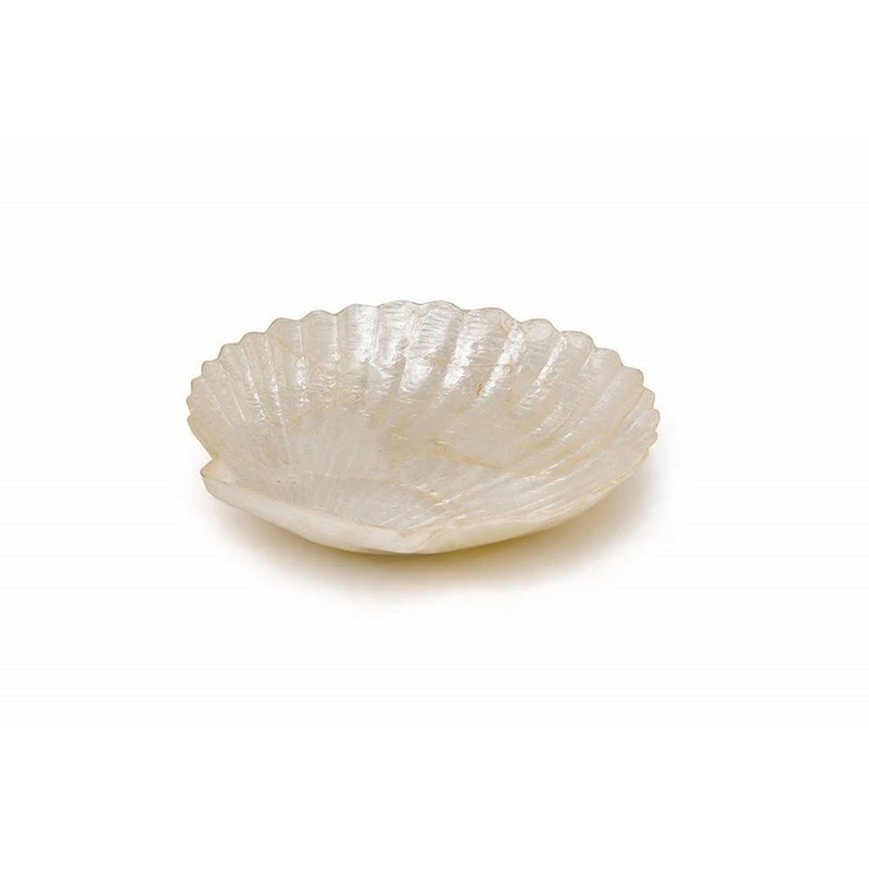 日本 扇貝貝殼小物盤  貝殼白 擺飾首飾文具紀念品 - 擺飾/家飾品 - 貝殼 