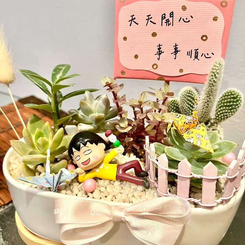 櫻桃小丸子 日式 台中多肉組盆 多肉植物 慶祝 生日 晉升 慶祝禮 - 盆栽/植栽 - 植物．花 綠色