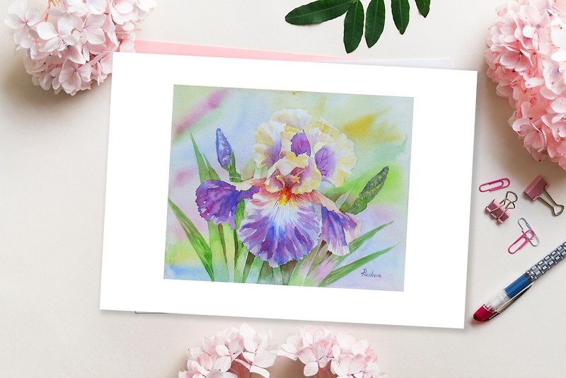 Yellow Violet Iris in the Garden, Watercolor Flowers for Gift - 掛牆畫/海報 - 紙 多色