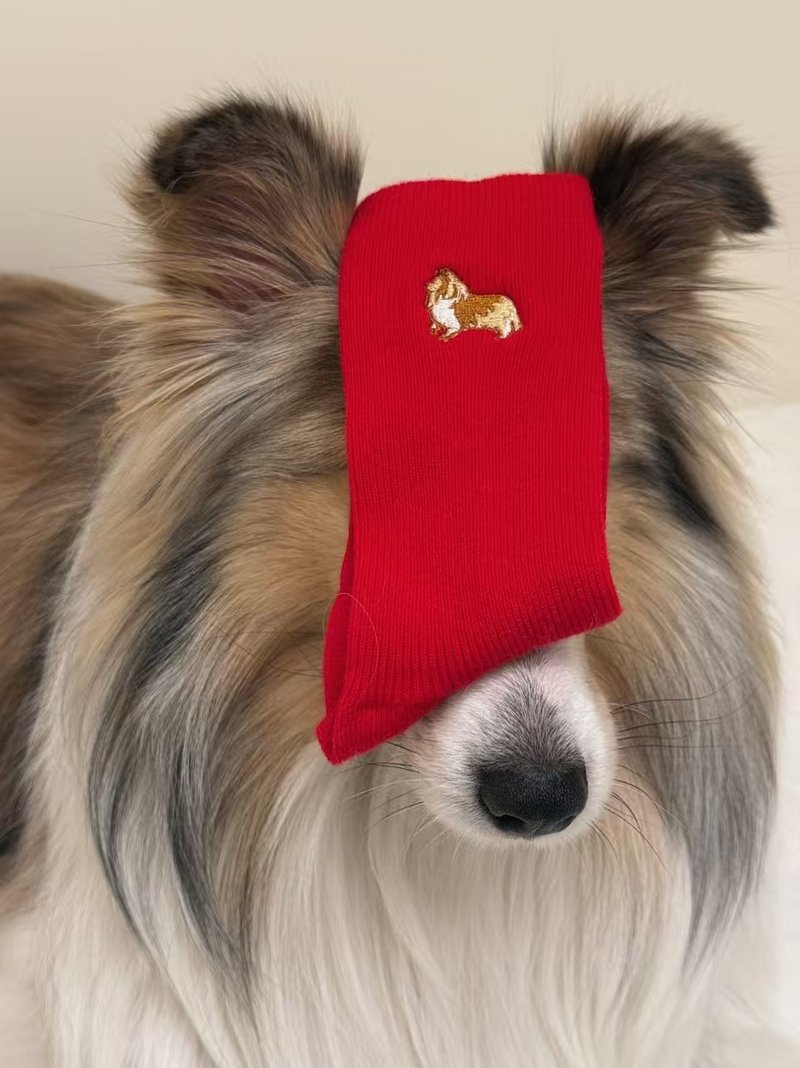 喜樂蒂牧羊犬の足下陪伴 羊毛襪3件組 - 襪子 - 羊毛 紅色