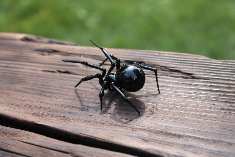 Collectible Black Mini Glass Spider Sculpture for Animal Figurine Enthusiasts - งานเซรามิก/แก้ว - แก้ว สีดำ