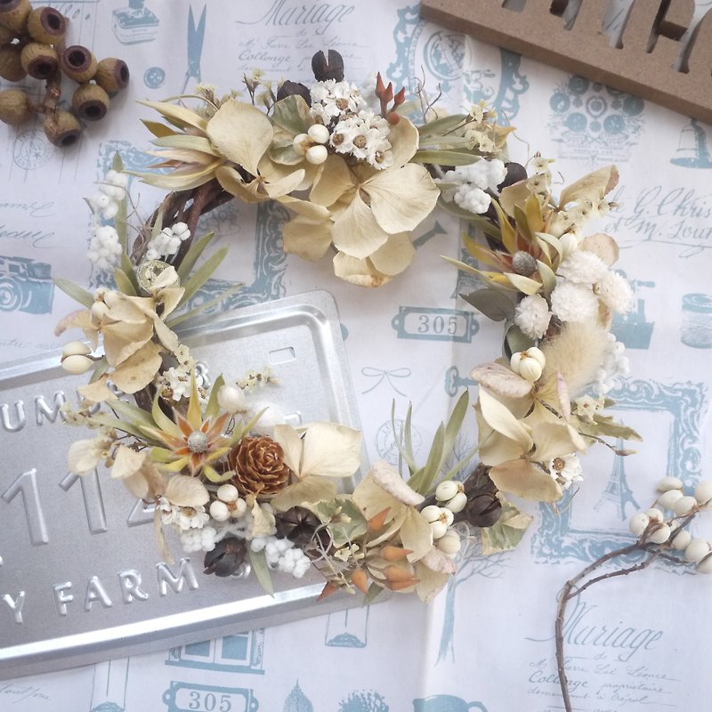 To be continued | autumn breeze had dried hydrangea flower ring face shooting props wall decoration gift gifts wedding was arranged small office - Plants - Plants & Flowers 