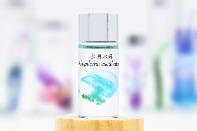 透明生物標本 - 赤月水母 Rhopilema esculentum (小) - 擺飾/家飾品 - 玻璃 