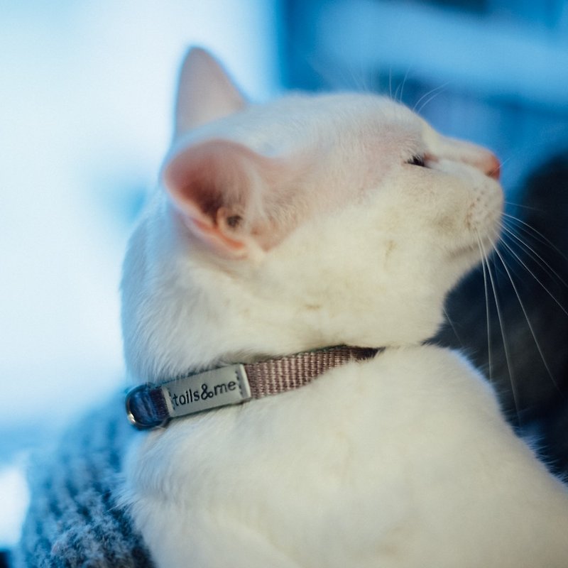 tails & me-Classic Nylon Cat Series Safety Collars Grayish Purple Mint - Collars & Leashes - Nylon Multicolor