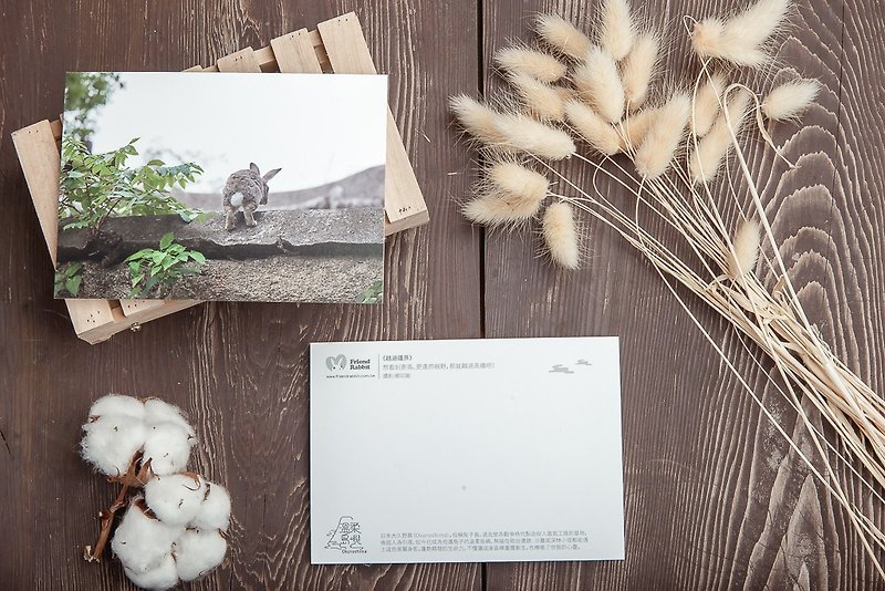 兔子攝影明信片- 越過疆界 - 心意卡/卡片 - 紙 灰色