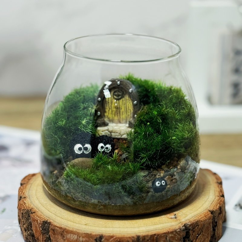 【宅配賣場】精靈之門 苔蘚缸.生態缸.造景 - 盆栽/植栽 - 植物．花 綠色