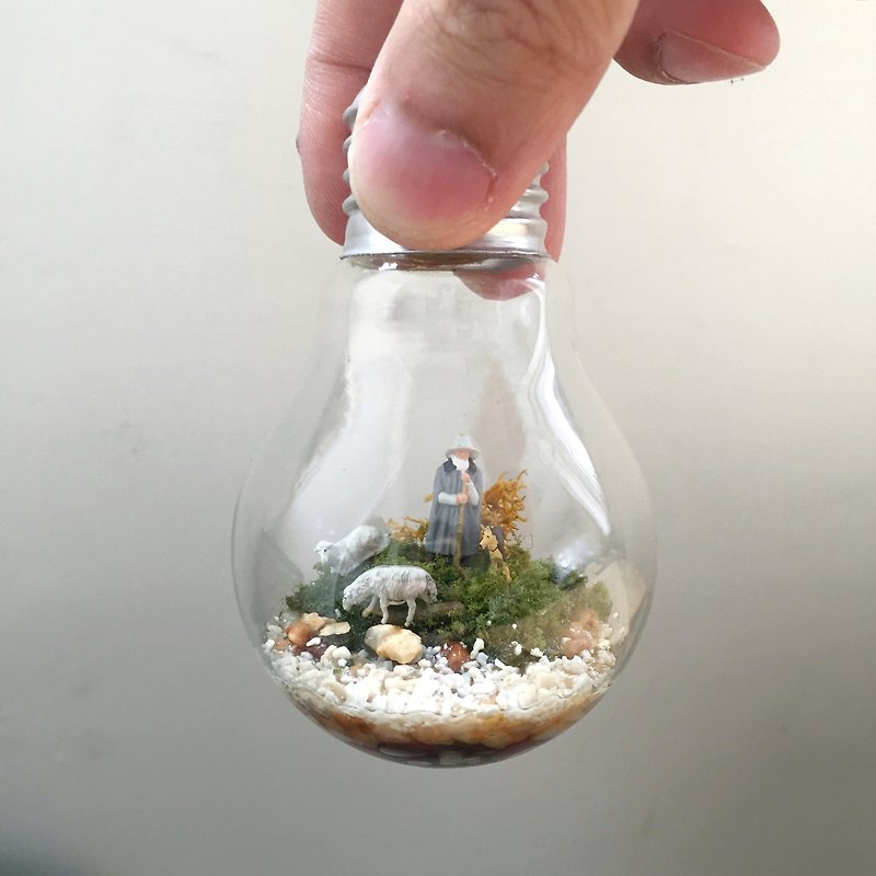 Moss bulb incandescent light bulbs into the world of micro-landscape - Items for Display - Glass Multicolor