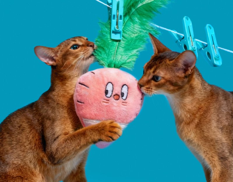 【粉蘿卜】寵物發聲陪伴/磨牙耐咬玩具 - 貓/狗玩具 - 其他材質 多色